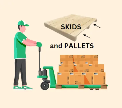 skids vs pallets