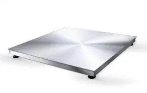 stainless steel scale