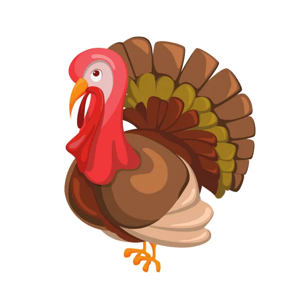 turkey