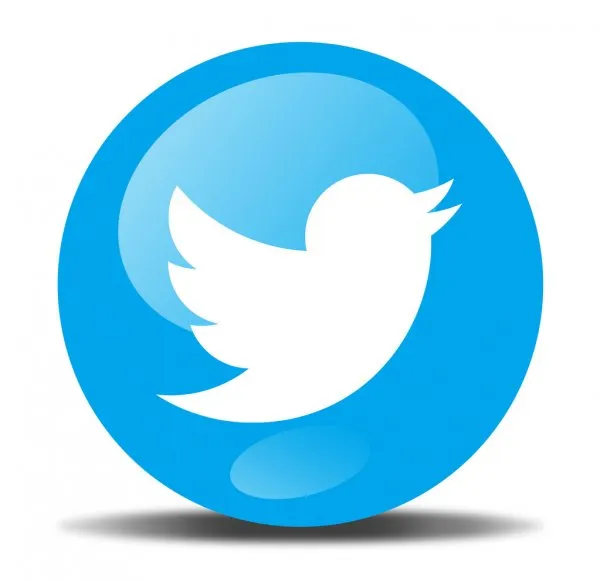 twitter icon