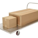 Stainless Steel Platform Truck